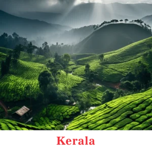 Kerala-01